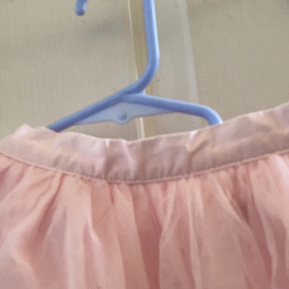 FINAL MARKDOWN Carter’s 3t tulle embroidered skirt
